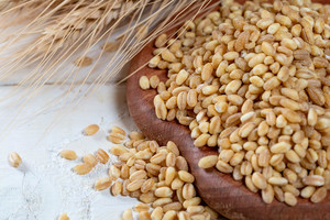 level sensors for blending process of grains