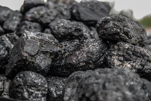 Coal - Bulky Solids Coal - Bulky Solids