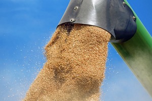 Level sensors in grain handling