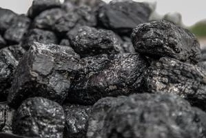 Coal - Bulky Solids