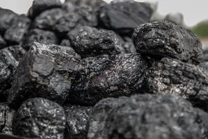 Coal - Bulky Solids Coal - Bulky Solids