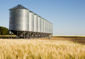 Applications of Vital-Vibrating Fork Level Sensor in Fertilizers & Pesticides