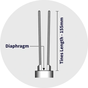 Tuning Fork Tines of Tuning Fork