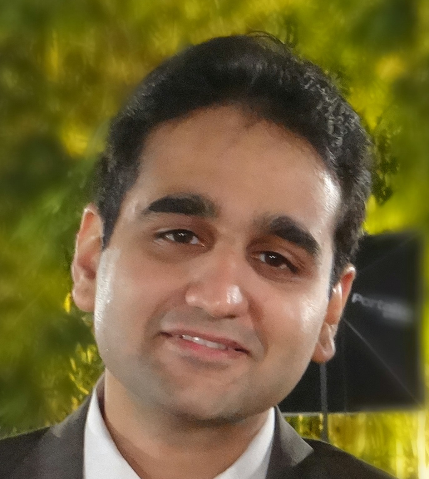 Dhananjay Palshikar